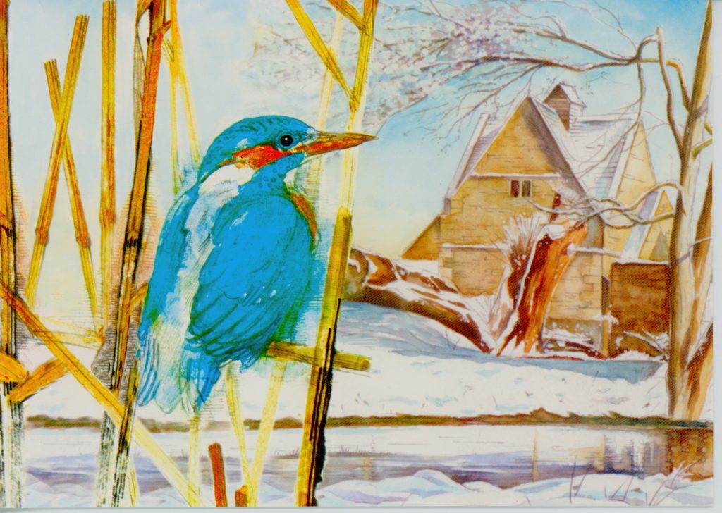 The Kingfisher Christmas Card